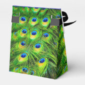 Ballotins PixDezines plumes de paon (Arrière)