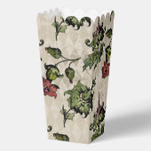 Ballotins Plante de sorcière apothecaire | Herbes botaniques (Recto)