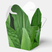 Ballotins Plante vert Sortir Ballotin (Ouvert)