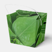 Ballotins Plante vert Sortir Ballotin (Arrière)