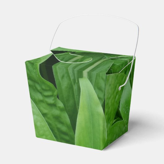 Ballotins Plante vert Sortir Ballotin (Verso)