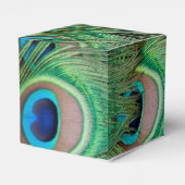 Ballotins Plumage de paon (Arrière)