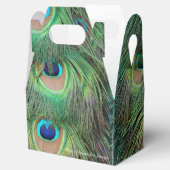 Ballotins Plumes de paon 3 (Ouvert)