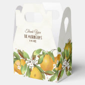 Ballotins Poires Fruit Botanique (Ouvert)