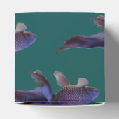 Ballotins poisson rouge bleu (Haut)