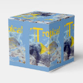 Ballotins Poisson tropical (jaune) (Verso)
