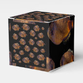 Ballotins Poisson Veste en cuir, Ballotin cadeau (Verso)