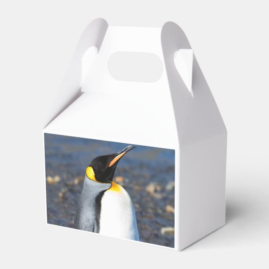 Ballotins Portrait de pingouin (Arrière)