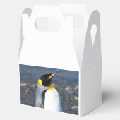 Ballotins Portrait de pingouin (Ouvert)