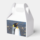 Ballotins Portrait de pingouin (Verso)