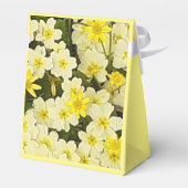 Ballotins Primroses jaunes printanières (Arrière)