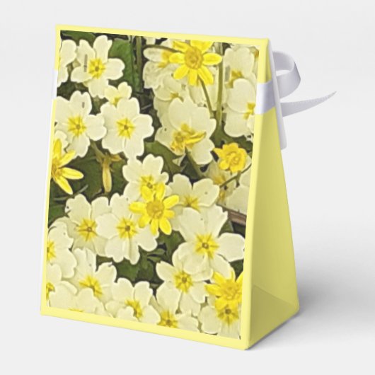 Ballotins Primroses jaunes printanières (Arrière)