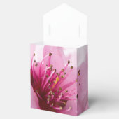 Ballotins Printemps (Ouvert)