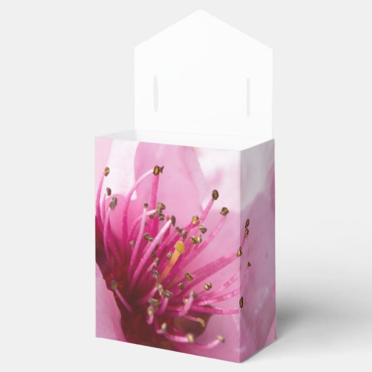 Ballotins Printemps (Ouvert)