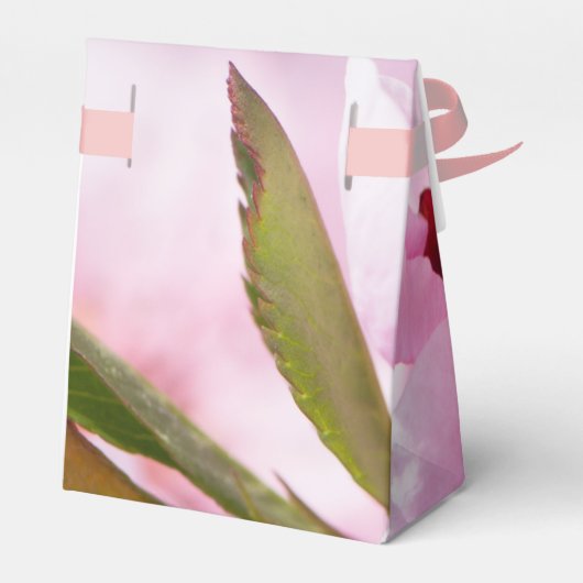 Ballotins Printemps (Arrière)