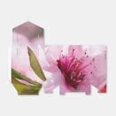 Ballotins Printemps (Déplié)