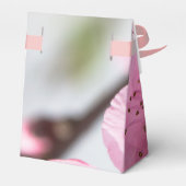 Ballotins Printemps (Arrière)