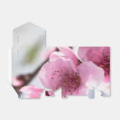 Ballotins Printemps (Déplié)