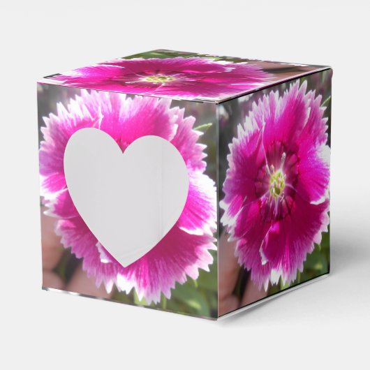 Ballotins Promettre (Verso)