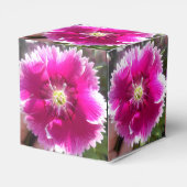 Ballotins Promettre (Arrière)