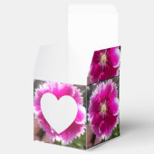 Ballotins Promettre (Ouvert)