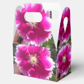 Ballotins Promettre (Ouvert)