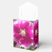 Ballotins Promettre (Ouvert)