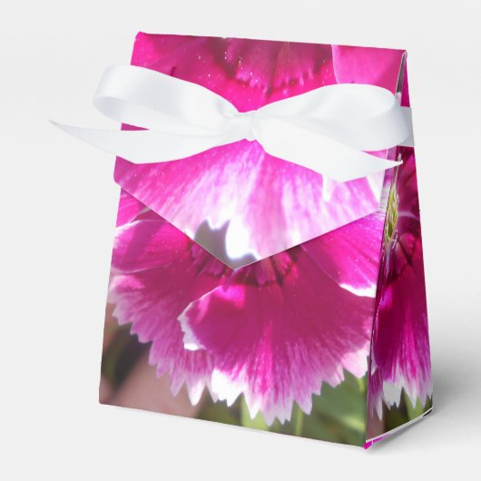 Ballotins Promettre (Verso)