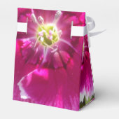 Ballotins Promettre (Arrière)