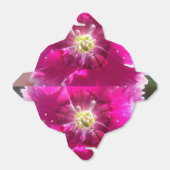 Ballotins Promettre (Déplié)