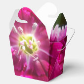 Ballotins Promettre (Ouvert)