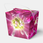 Ballotins Promettre (Arrière)