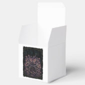 Ballotins Psilocybe Allenii (Ouvert)