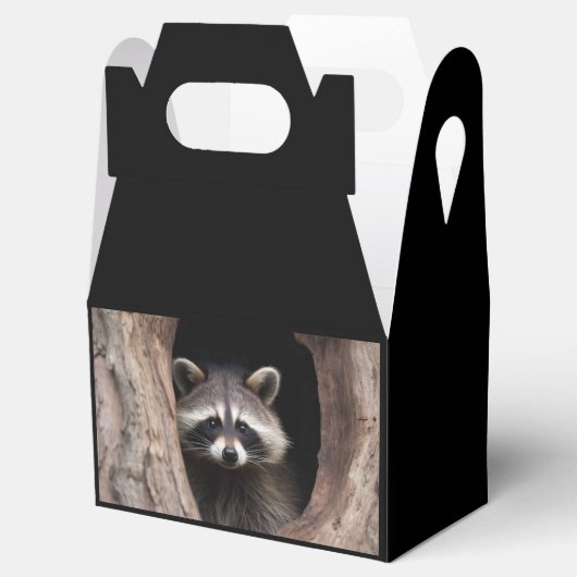 Ballotins Racon dans la grotte des arbres (Ouvert)