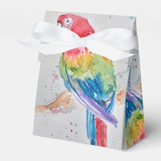 Ballotins Rainbow Parrot Bird Enfant Ballotin de gâteau d'an (Verso)