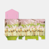 Ballotins Rangée de lapins chiots (Déplié)
