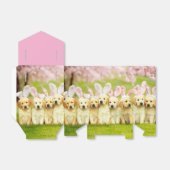 Ballotins Rangée de lapins chiots (Déplié)