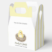 Ballotins Ready To Hatch Yellow Spring Chick Baby Shower (Ouvert)