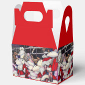 Ballotins Réalité sur les vacances (Ouvrir)