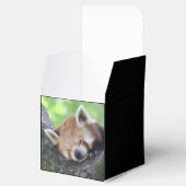 Ballotins RedPanda20150705.jpg (Ouvert)