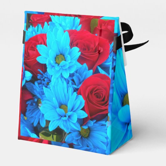 Ballotins Renilde (Arrière)