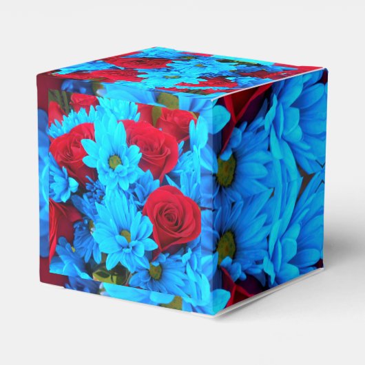 Ballotins Renilde (Arrière)