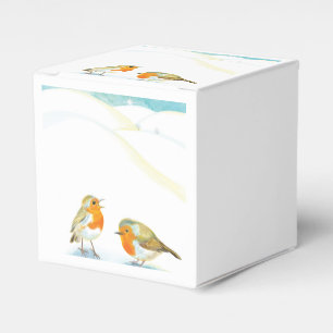 Ballotins Robins rouges en hiver