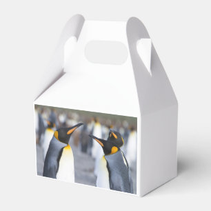 Ballotins Roi Penguins