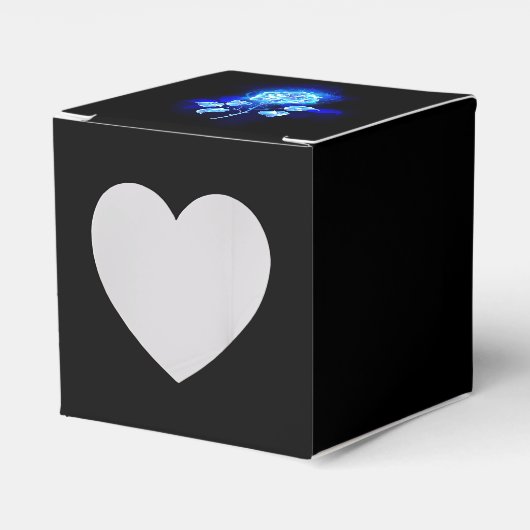 Ballotins Rose bleu brûlant (Verso)