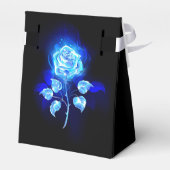 Ballotins Rose bleu brûlant (Arrière)