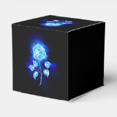 Ballotins Rose bleu brûlant (Arrière)