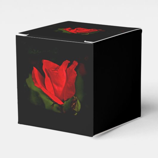 Ballotins Rose rouge - Passion noire (Verso)