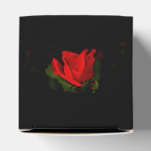 Ballotins Rose rouge - Passion noire (Haut)