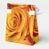 Ballotins Roses Golden Bold (Arrière)